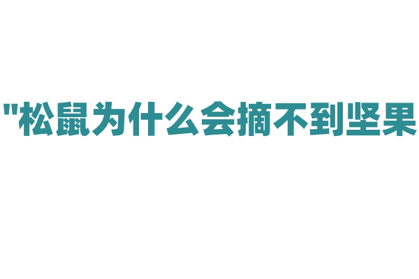 "松鼠为什么会摘不到坚果？"
